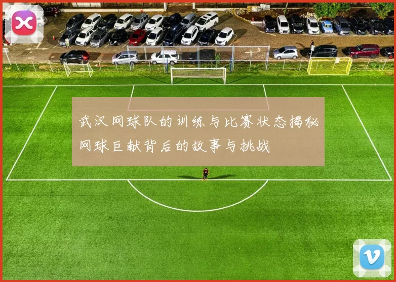 武汉网球队的训练与比赛状态揭秘网球巨献背后的故事与挑战