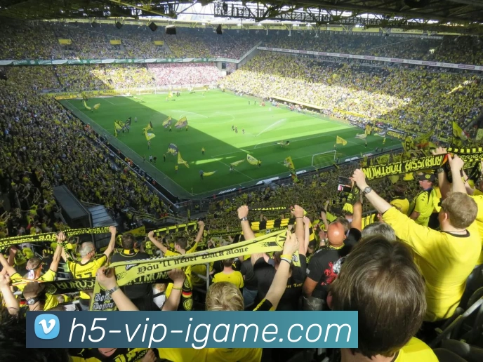 多媒体互动体验